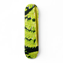 Fern skateboards by lifesphere Fern skateboards