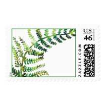 Fern Stamp