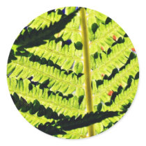 Fern stickers