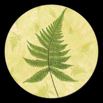 Fern stickers