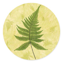 Fern stickers by oph3lia Fern stickers
