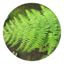 Fern Sticker
