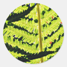 Fern Sticker