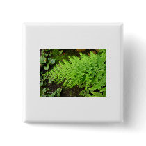 Fern Sticker Button by Romydan Fern Sticker Button