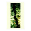Fern Stream posters by angryfisheatenbycat Fern Stream posters