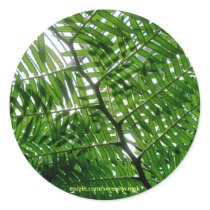 Fern Tree Sticker