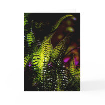 Ferns # 1 cards