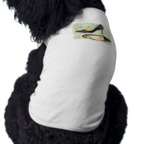Ferns and Feet Pet T-shirt
