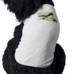 Ferns and Feet Pet T-shirt