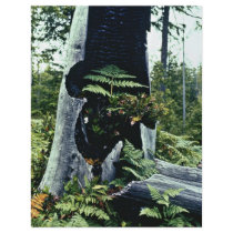 Ferns and Tree Stump flyers