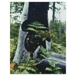 Ferns and Tree Stump flyers