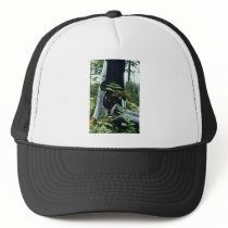 Ferns and Tree Stump hats