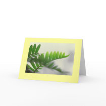 "Ferns" cards