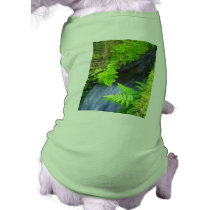 Ferns Dog Tee Shirt