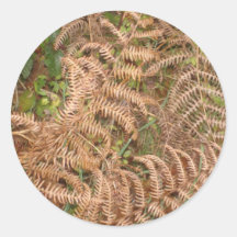 Ferns in Autumn Sticker
