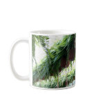 ferns in hanging basket mug