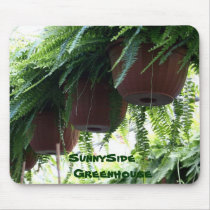 ferns in pots - mousepad