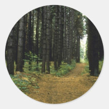 Ferns in the forest round stickers