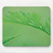 Ferns Mousepad