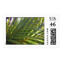 ferns stamp