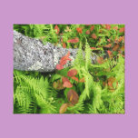 Ferns, Tree and Red Leaves canvas prints