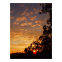 ferntree gully sunset Poster posters