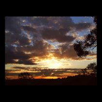 Ferntree Gully Sunset Poster posters by webgrrl Ferntree Gully Sunset Poster posters
