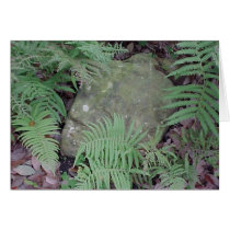 Ferny Stone cards