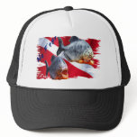 Feroshious Fish on Dive Flag Trucker Hat