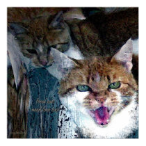 ferral cats need love too posters