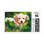 Ferraro's Sammi Stamps