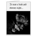 Ferret Black and White cards