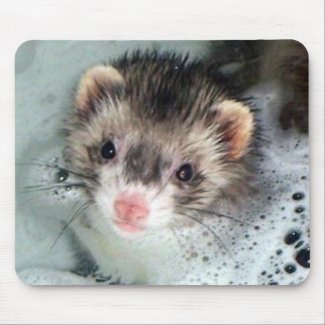 ferret bubble bath mousepad