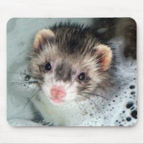 ferret bubble bath mousepads