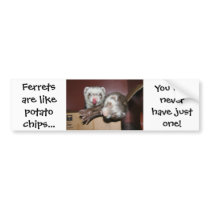 Ferret Bumper Sticker bumper stickers