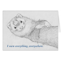 Ferret Card - Pandora Owns