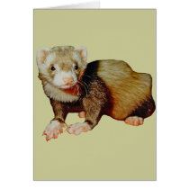 Ferret Drawing cards