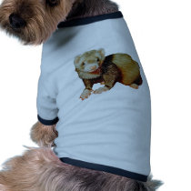 Ferret Drawing pet clothing