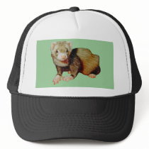 Ferret Drawing hats by kphotos Ferret Drawing hats