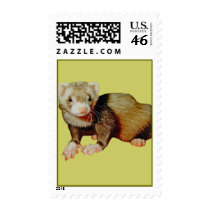 Ferret Drawing stamps