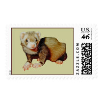 Ferret Drawing stamps