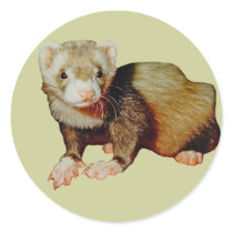 Ferret Drawing Sticker stickers