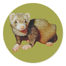 Ferret Drawing stickers