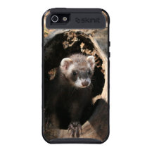 Ferret Face iPhone 5 Skinit Case Cases For iPhone 5