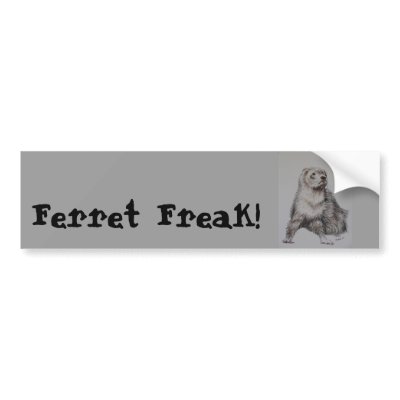 Ferret Freak! Bumper Sticker by artworkbyandrea