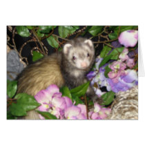 Ferret in Flowers cards by GlitterWitch Ferret in Flowers cards