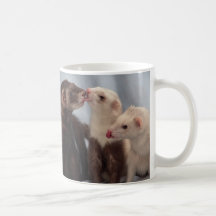 Ferret Kisses Coffee Mugs