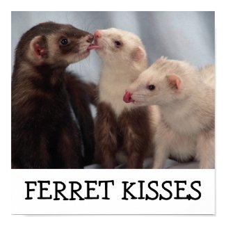 Ferret Kisses print