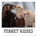 Ferret Kisses posters by chrisjo88 Ferret Kisses posters