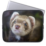 Ferret laptop sleeve laptop sleeves